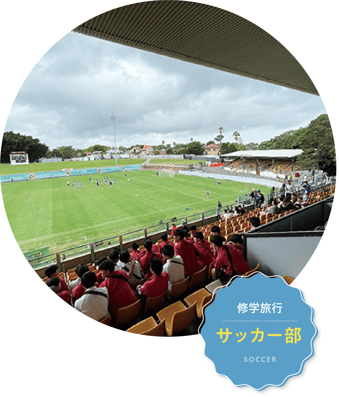 サッカー部