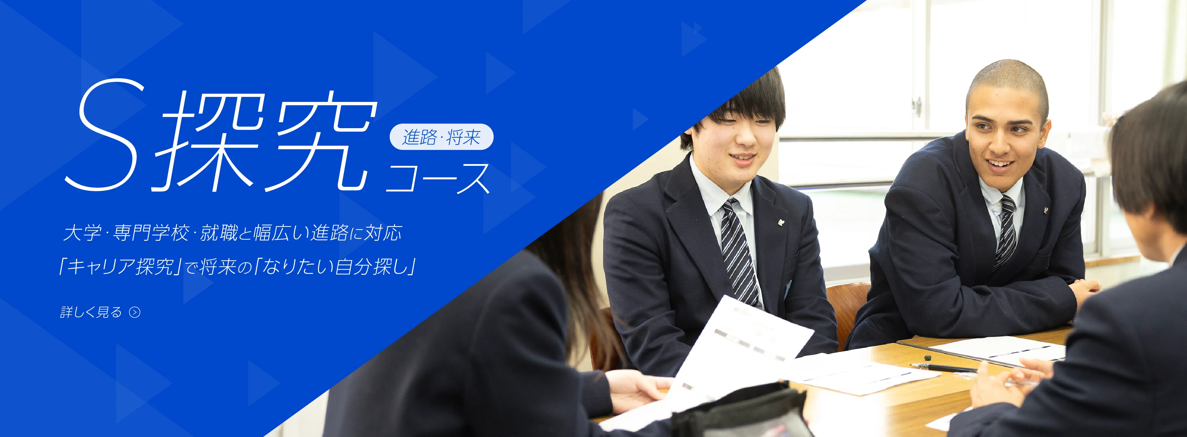 S探求